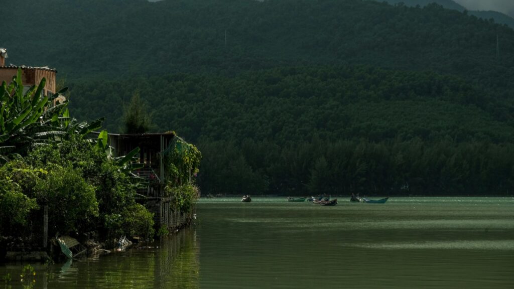 Discover how New Zealand advertisers leverage Reddit and Indonesian design to boost brand awareness campaigns locally.