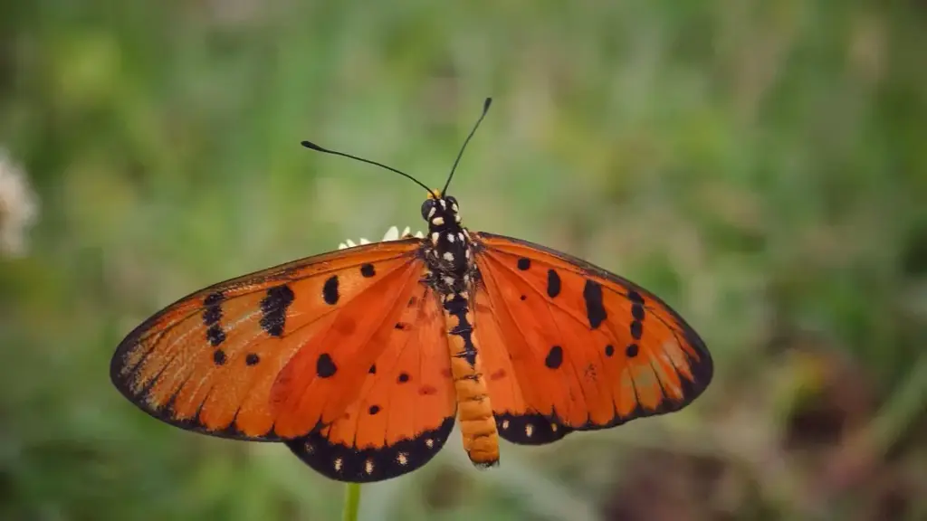 Practical guide for New Zealand advertisers to discover Slovenia-based OnlyFans creators and boost awareness inside gaming communities, with outreach tactics and compliance tips.