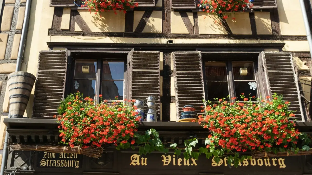 Kiwis Reaching Sweden Brands on Instagram for Travel Vlogs: A How-To Guide