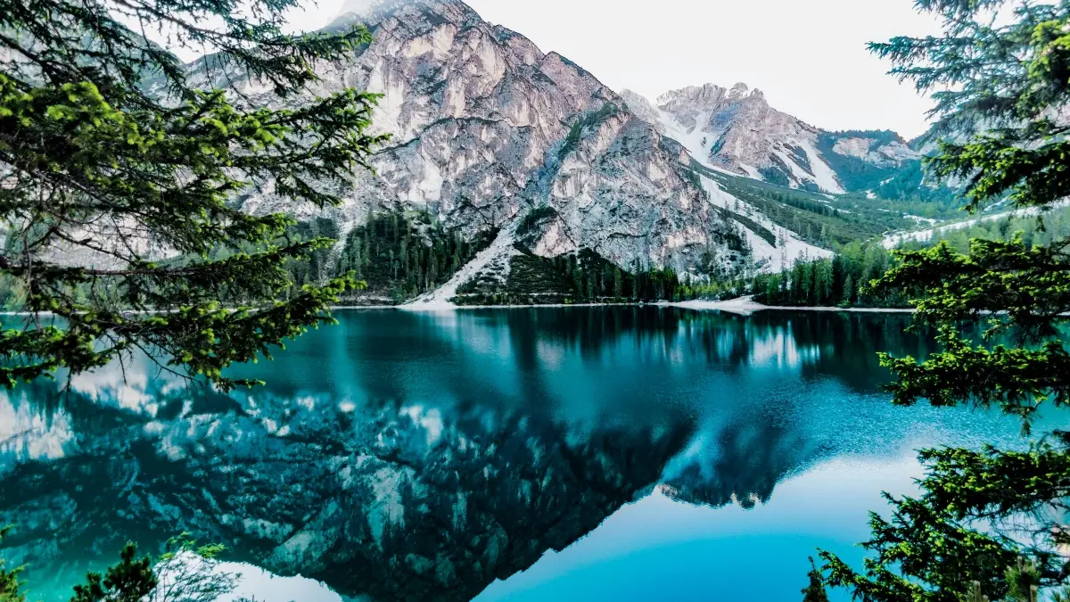 Creators’ Guide: Reaching Austria Brands on Zalo with Clear Product Benefits