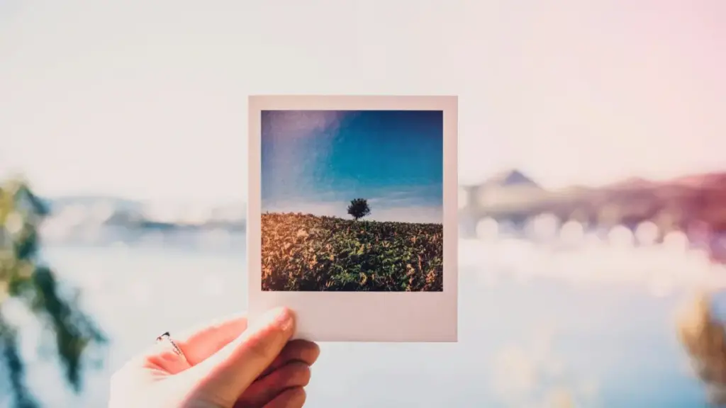 Practical steps for New Zealand creators to connect with UK brands on LinkedIn and get visible to new audiences.
