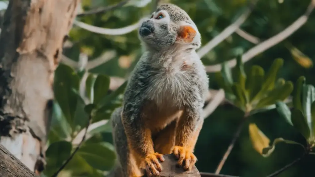 Practical guide for Kiwi creators on contacting Brazilian Etsy sellers to co-create exclusive product bundles — outreach scripts, pricing, logistics and cultural tips.