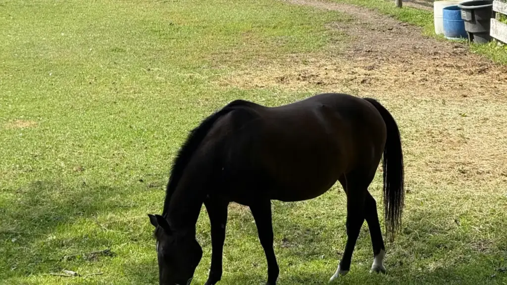 Practical guide for New Zealand advertisers to locate Belgium Kuaishou creators for mobile game launches — strategy, outreach templates, risks and tools.