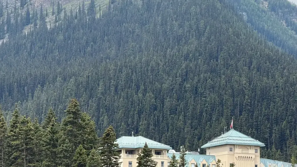 Practical guide for NZ advertisers wanting Bulgaria Shopee creators to launch clothing drops — outreach, vetting, pricing and campaign tips.