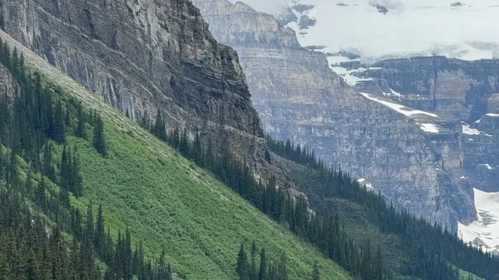 Practical guide for New Zealand advertisers to find Denmark-based Taobao creators and boost travel-destination visibility using Chinese e‑commerce and social platforms.