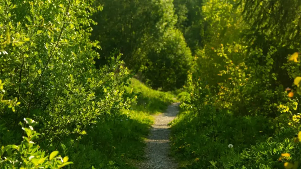 Practical, down-to-earth guide for New Zealand advertisers on finding, vetting and pitching Iceland-based TikTok creators for viral unboxing campaigns — outreach templates and local insight included.