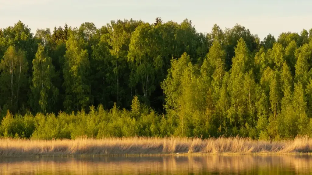 Practical NZ guide to finding and working with Qatar-based Douyin creators: audience tips, outreach templates, vetting checks and campaign playbooks for product launches.