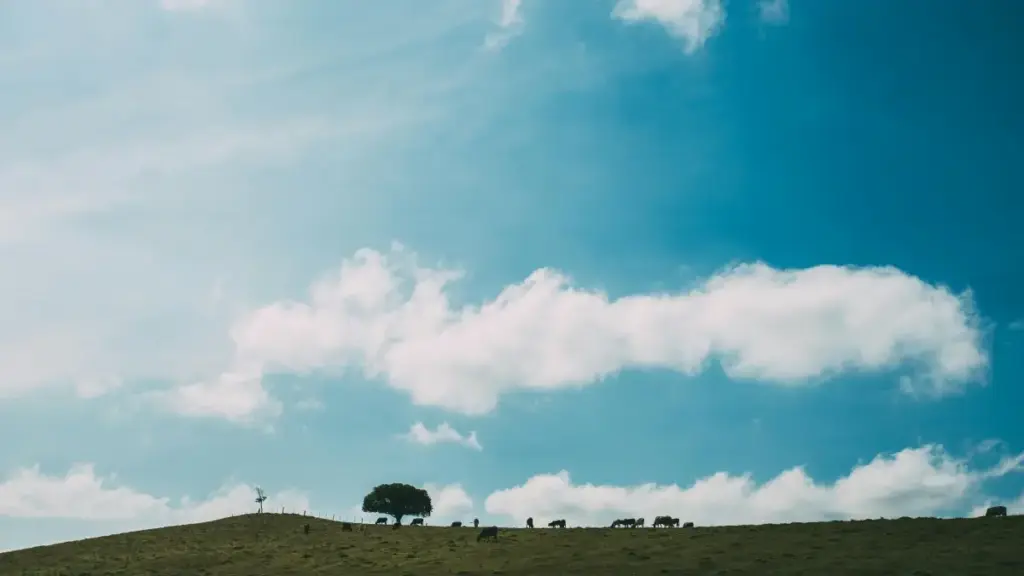 Practical guide for New Zealand advertisers to discover and work with Turkish Etsy creators for joint campaigns — tactics, outreach scripts, budgeting tips and campaign models.