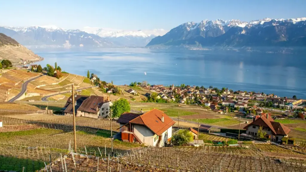 Practical guide for New Zealand creators on finding and pitching Australian brands active on Lazada for cross-promo collabs, with real examples and outreach templates.