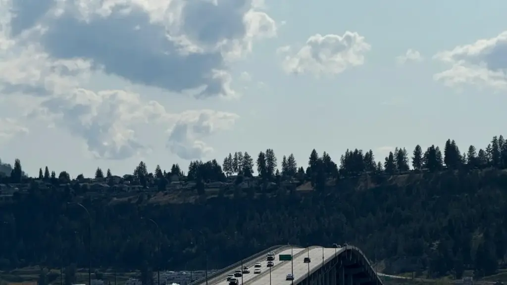 Practical, street-smart tactics for New Zealand creators to connect with Brazilian brands on Instagram and co-create travel planning guides.