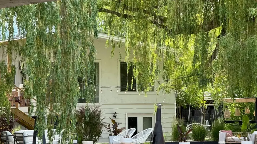 Practical guide for NZ creators to contact Georgia brands on Amazon and spotlight must-have items — tactics, outreach scripts, and platform playbooks.