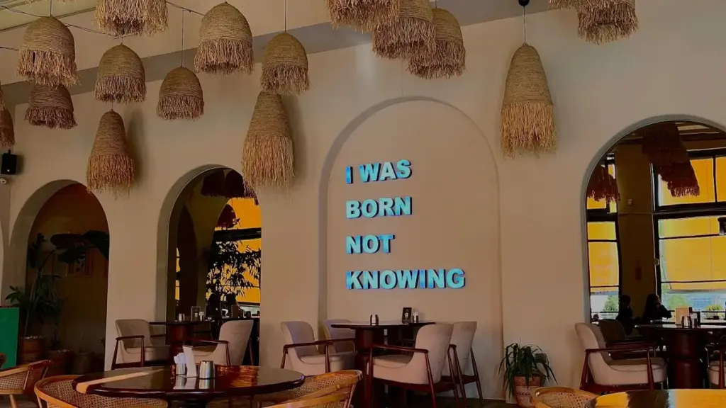 Step-by-step guide for NZ creators to find and pitch Israeli brands on Zalo, craft Vietnamese-friendly outreach, and turn unboxing videos into paid collabs.