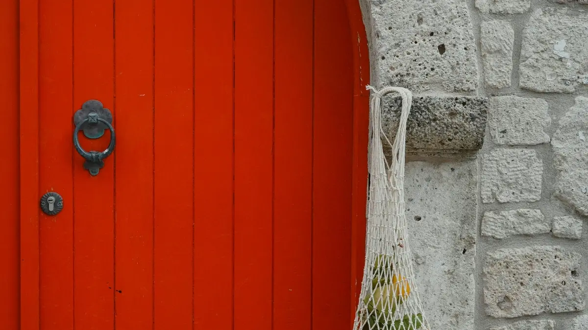 NZ creators: Pitch Puerto Rico brands on Instagram — win gigs