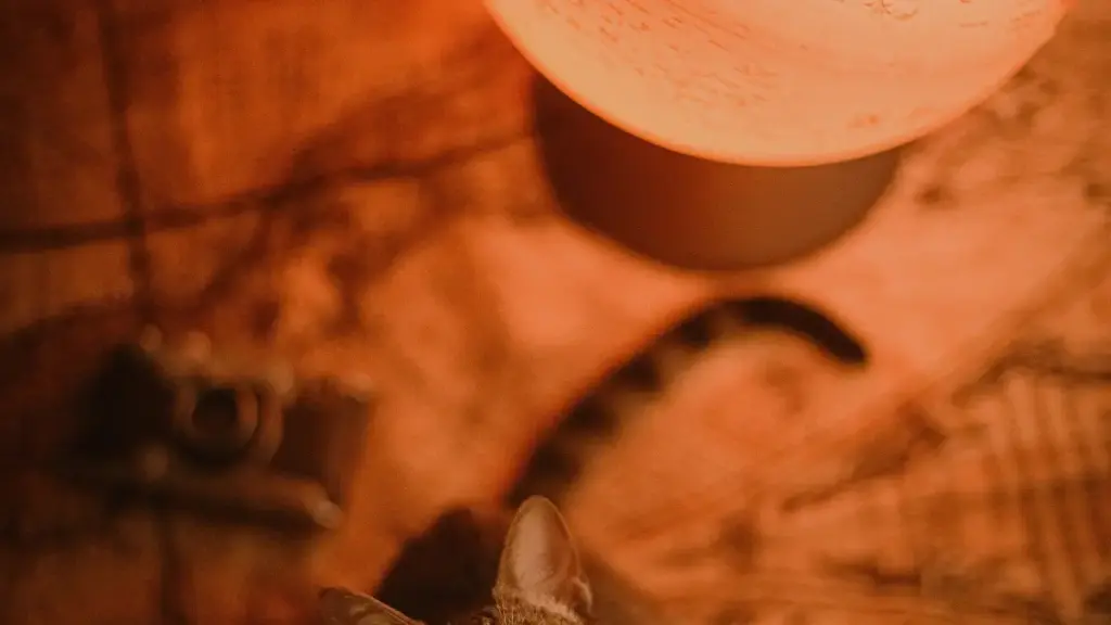 Practical guide for NZ creators on pitching Thai brands via Xiaohongshu to promote affiliate products, with outreach templates, localisation tips and platform strategy.