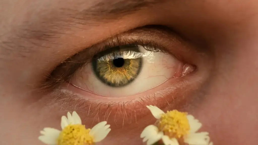 Practical guide for New Zealand creators on how to contact Venezuela brands via Bilibili and run game-key giveaways, with outreach templates, platform tips and campaign mechanics.