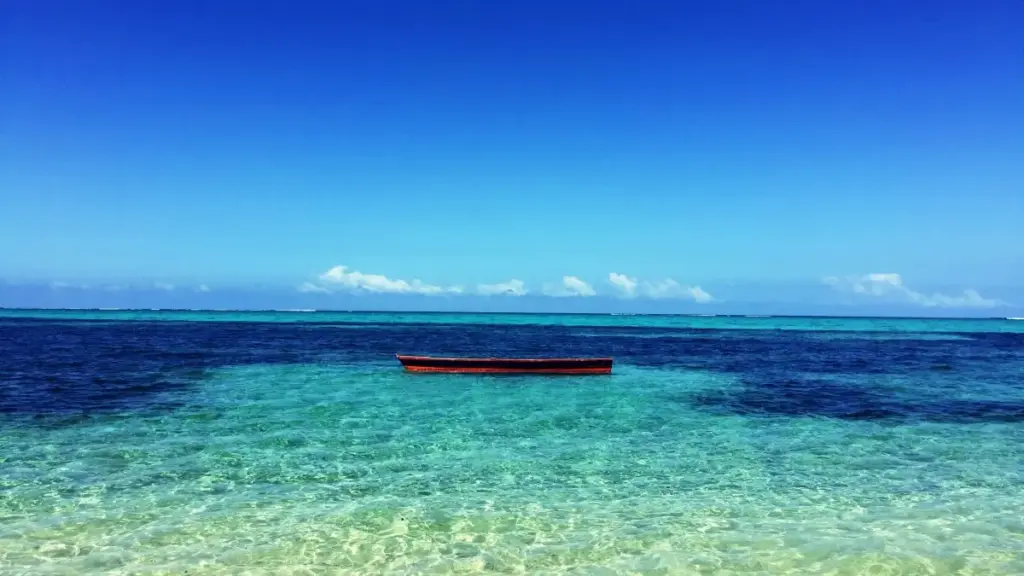 Practical guide for New Zealand advertisers to find Azerbaijan-based Lazada creators and convert engaged audiences into quality leads, with platform tactics and outreach templates.