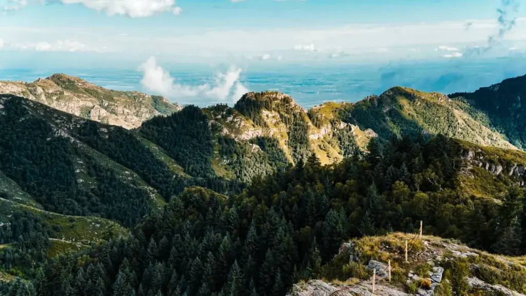 Practical guide for New Zealand advertisers to discover Nigerian Josh creators, build localised campaigns, and lift social engagement with cultural insight and outreach tactics.