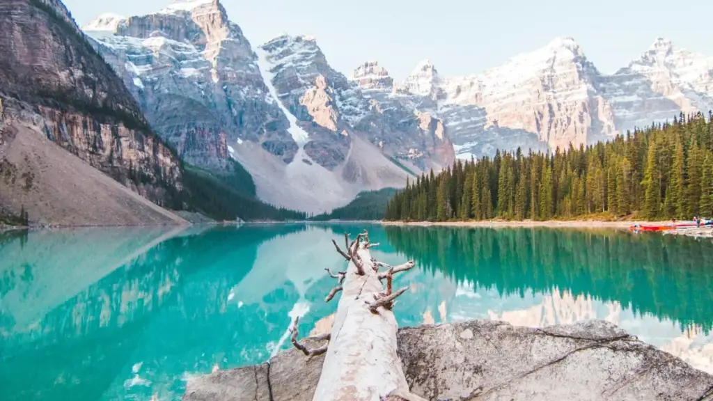 Practical guide for New Zealand advertisers to find and recruit South Africa Shopee creators for sponsored challenges — tools, outreach scripts and risk tips.