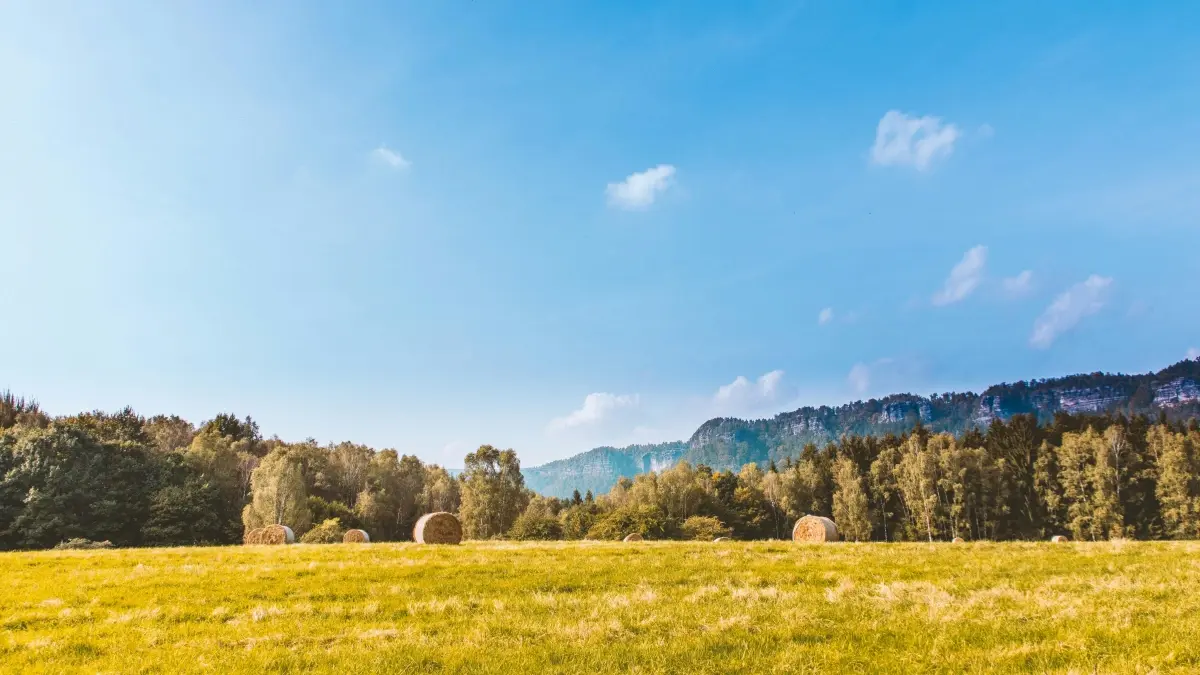 NZ creators: connect Slovenia brands on KakaoTalk, quick wins