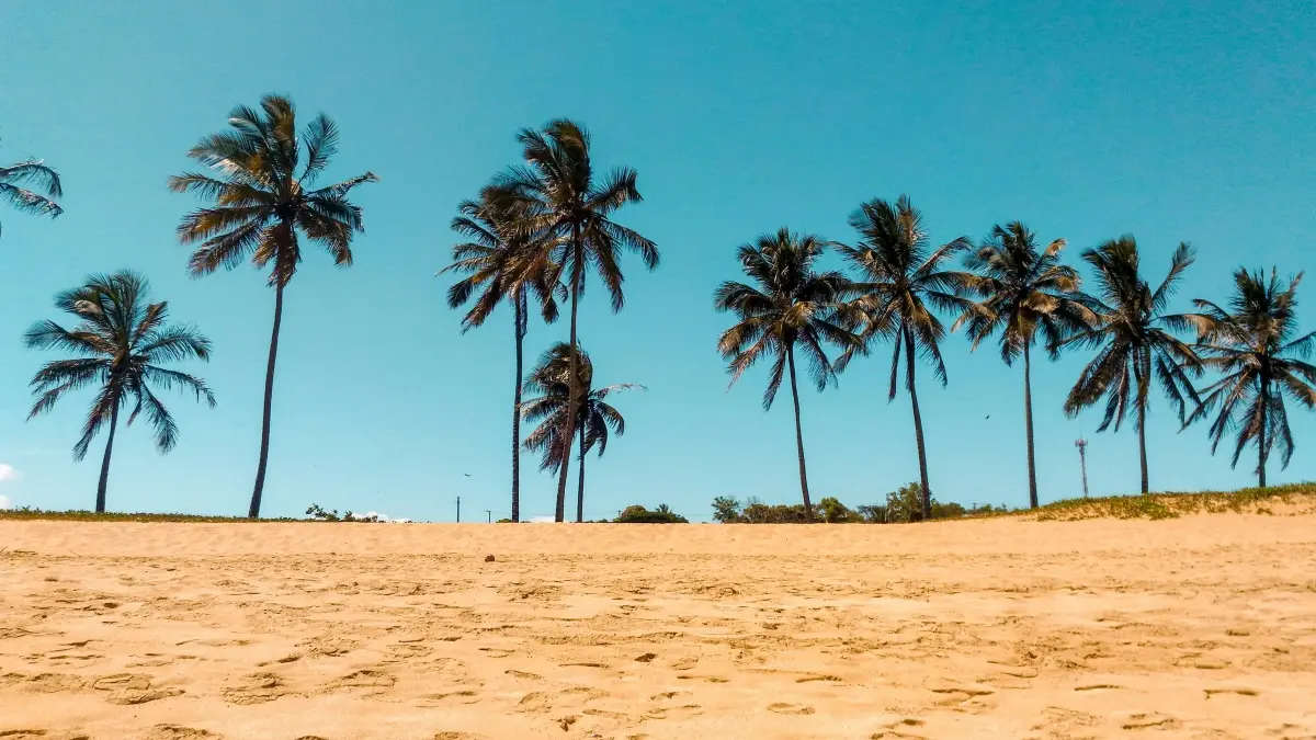 NZ Creators: Pitch Swedish Brands on Douyin for Hotel Gigs
