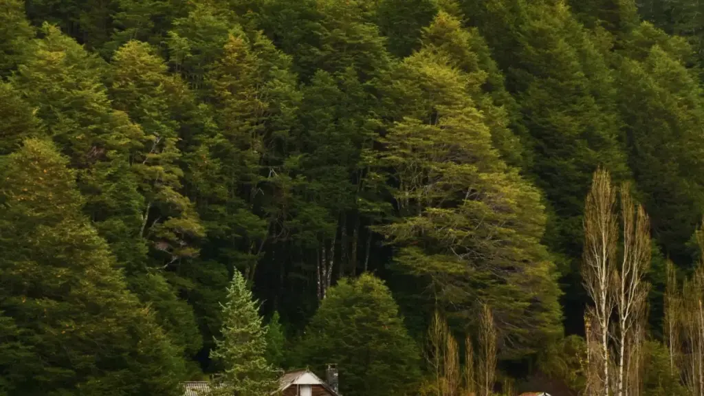 Practical guide for New Zealand creators on pitching Netherlands brands via Rumble — outreach tactics, messaging tips, and local insights to share product benefits clearly.