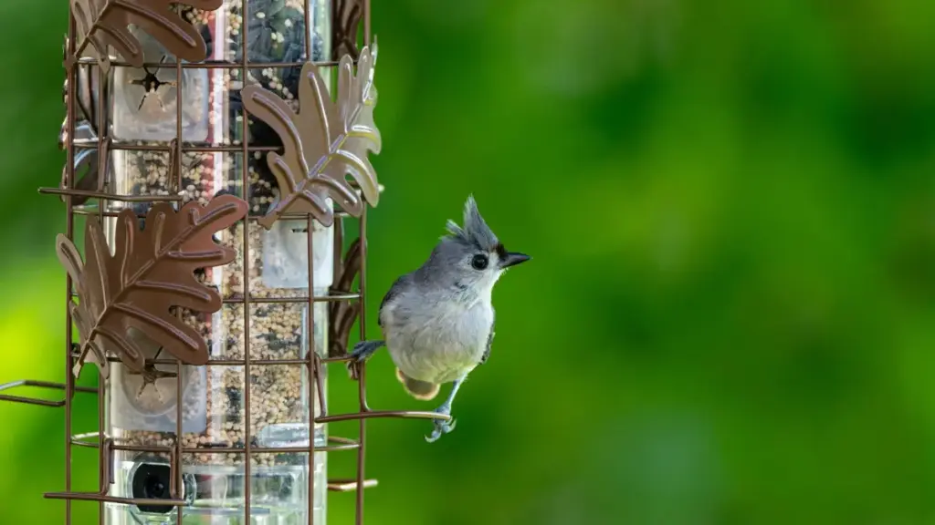 Practical guide for New Zealand creators on pitching Finnish brands via YouTube for music-trend partnerships, with outreach scripts, tools and legal tips.