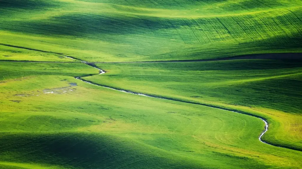 Practical tactics for NZ creators to contact Myanmar brands on Spotify, land testimonial video work and navigate local channels, privacy and outreach best practice.