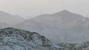 Practical guide for New Zealand advertisers on finding Viber creators in the UAE to boost brand visibility — step‑by‑step sourcing, vetting and campaign tips.