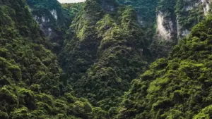 Practical guide for NZ advertisers to find, vet and launch makeup-tutorial collabs with Indian TikTok creators — step-by-step outreach, budgets, contracts and platform tips.