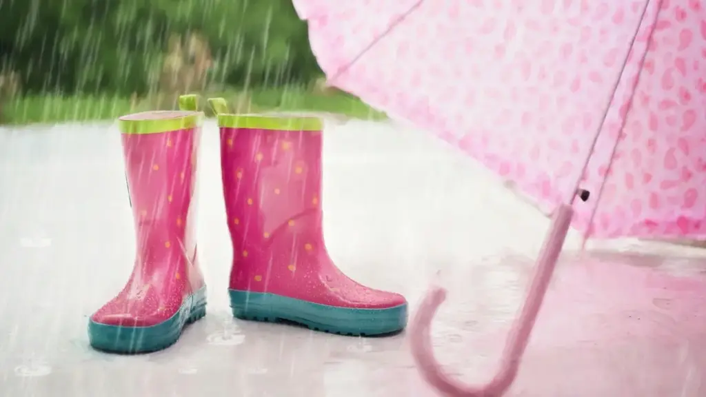 Practical guide for NZ advertisers to find German Zalo creators and run micro-influencer product trials—tactics, outreach templates, privacy tips and campaign checklists.