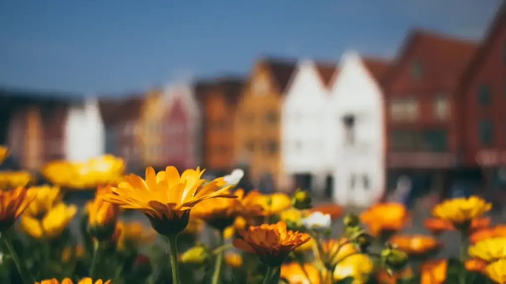 Practical guide for New Zealand advertisers on finding Latvia-based HBO Max creators to localise campaigns. Includes platform tips, outreach playbook, and a creator comparison snapshot.