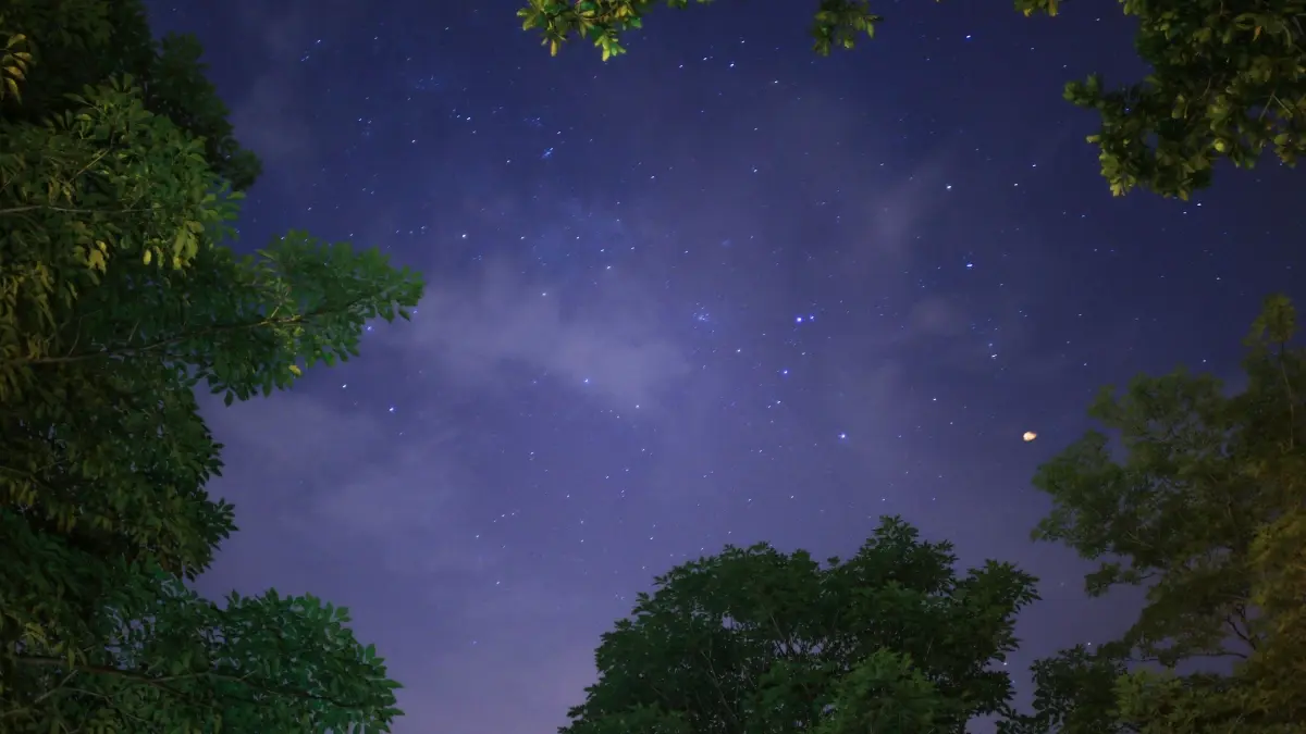 NZ creators: How to pitch Thai brands on Viber for travel vlogs