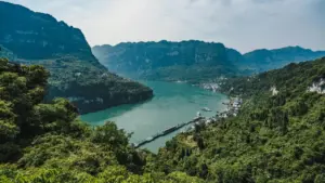 Practical tactics for NZ micro-creators to find and pitch Chilean brands on Telegram, join seeding programs, and build genuine cross-border partnerships.