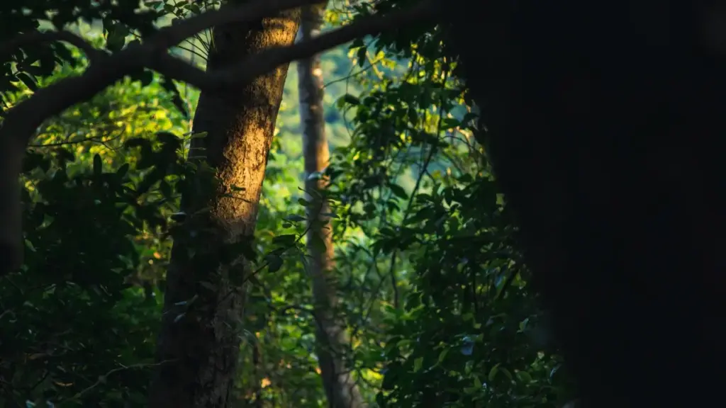 Practical guide for New Zealand creators on finding and pitching Iraq brands on SoundCloud to work with tourism boards — outreach tactics, cultural tips, and campaign ideas.