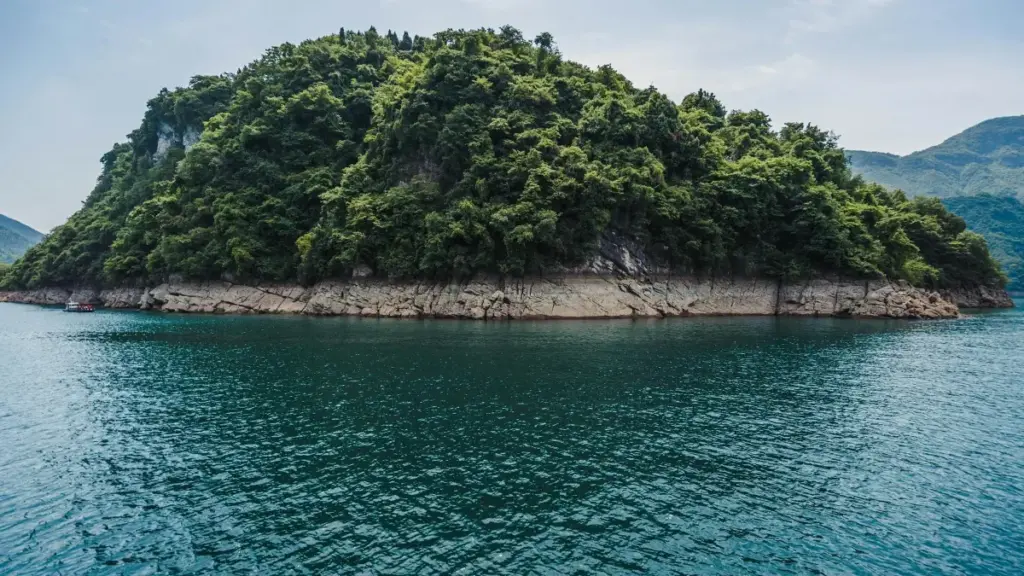 Practical guide for New Zealand creators on contacting Portuguese brands via Bilibili to secure free product samples, outreach templates, and platform tips.