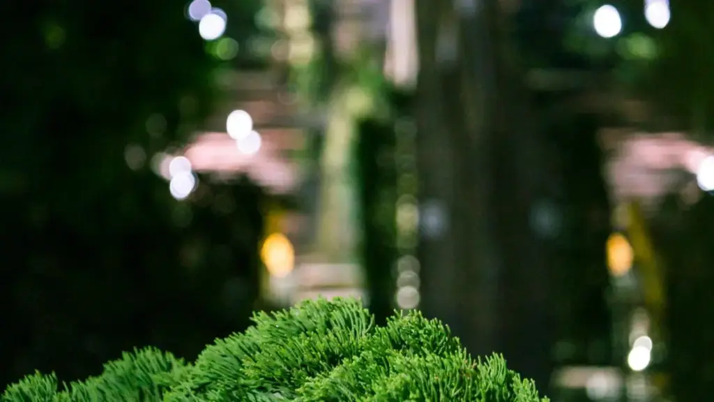 Practical guide for New Zealand creators on finding, pitching and partnering with UAE brands via Chingari for wardrobe haul videos, with platform tactics and outreach templates.