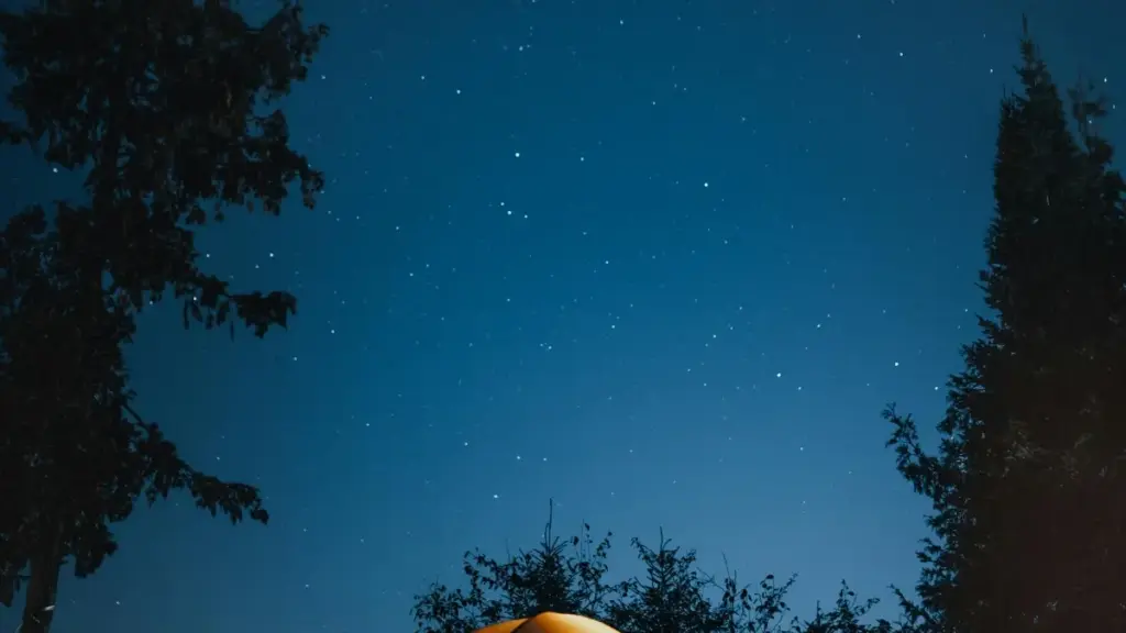 Practical guide for New Zealand creators on contacting UAE brands via Moj to run live product demos, with outreach scripts, platform tips, and agency options.