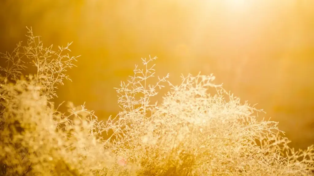 Practical guide for NZ advertisers to find Lithuania Snapchat creators for hands-on tutorial series — scouting, outreach, contracts and local trends.