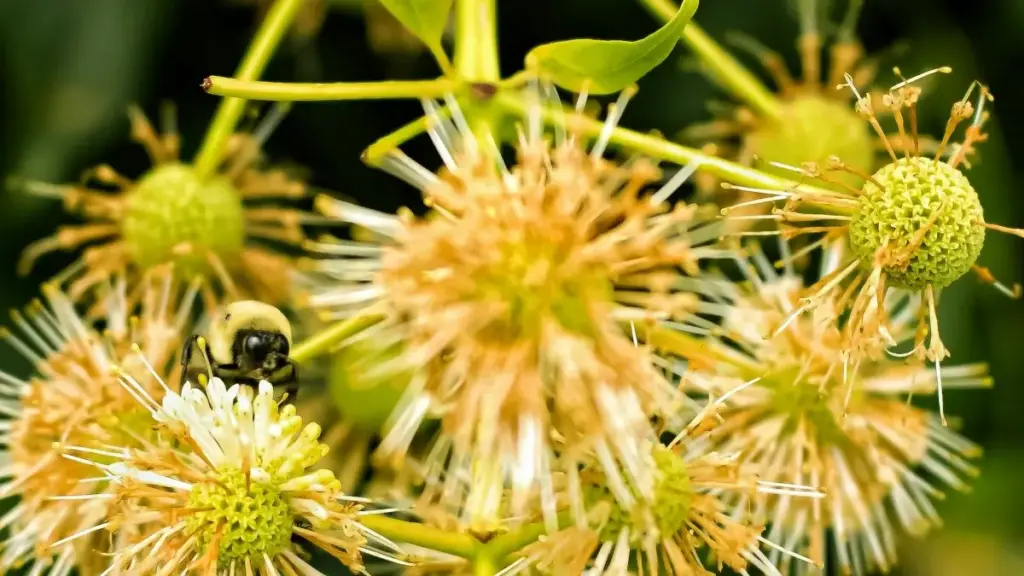 Practical guide for New Zealand advertisers to find Dutch Pinterest creators for product seeding — tactics, outreach scripts, metrics and legal tips.