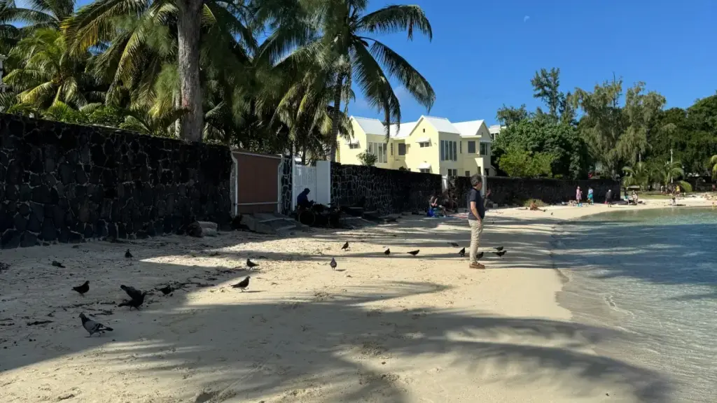 Practical guide for New Zealand advertisers to discover and work with Qatar-based Viber creators for product seeding, with tactics, outreach templates and compliance tips.