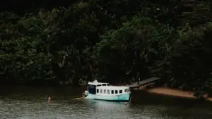 A practical Kiwi guide for creators on how to find, contact and feature South Korean brands on Lazada — from sourcing Gmarket/TMall listings to pitching product highlights.