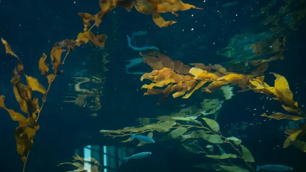 Practical guide for New Zealand fitness creators on pitching Tanzanian brands via Josh — outreach channels, content ideas, and negotiation tips.