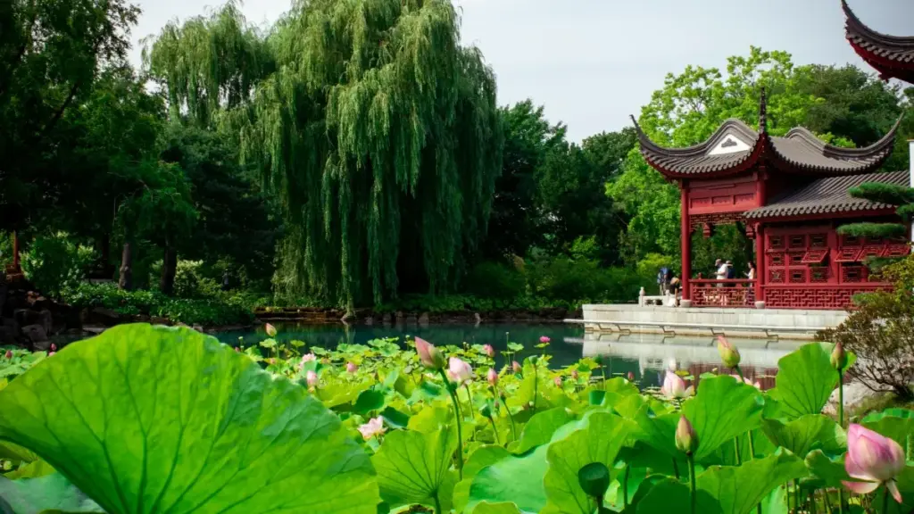 Practical guide for New Zealand advertisers to find Italian WeChat creators and launch creator-led tutorial series — outreach, vetting, localisation and campaign setup.