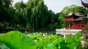 Practical guide for New Zealand advertisers to find Italian WeChat creators and launch creator-led tutorial series — outreach, vetting, localisation and campaign setup.