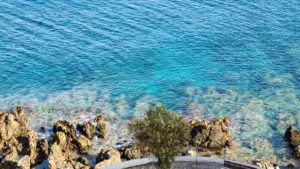 Practical guide for New Zealand advertisers on finding Myanmar Josh creators to run flash-sale hype — tactics, trust tips, creator types and a ready playbook.