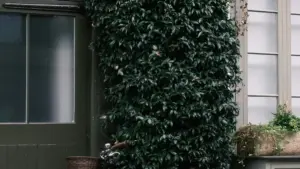 Practical guide for New Zealand advertisers to find Qatar-based TikTok creators for socially responsible campaigns, with local strategies and risks.