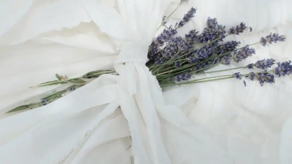 Practical playbook for New Zealand creators wanting Argentine brand reviews on TikTok — outreach scripts, platform tips, and localisation moves to land paid or free trials.