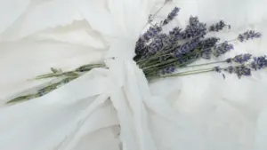 Practical playbook for New Zealand creators wanting Argentine brand reviews on TikTok — outreach scripts, platform tips, and localisation moves to land paid or free trials.