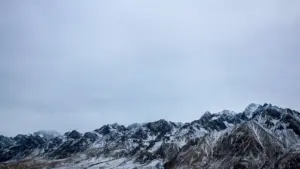 Practical playbook for NZ creators to reach Panama brands via HBO Max — pitching, localisation and long-term deal tactics.