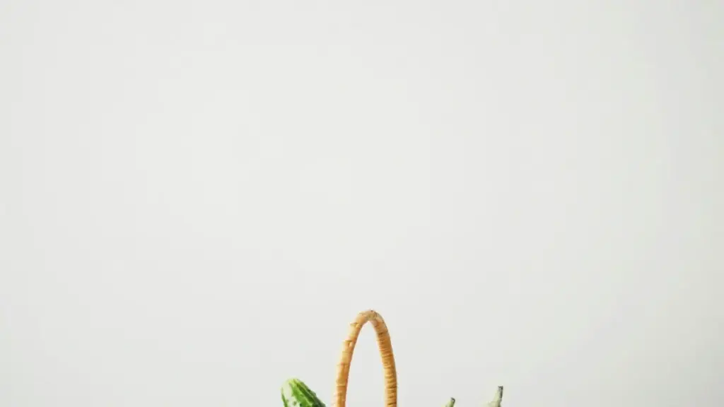 Practical guide for New Zealand creators on contacting Sri Lanka brands selling on Amazon, pitching collabs, and monetising channels with real tactics and local context.